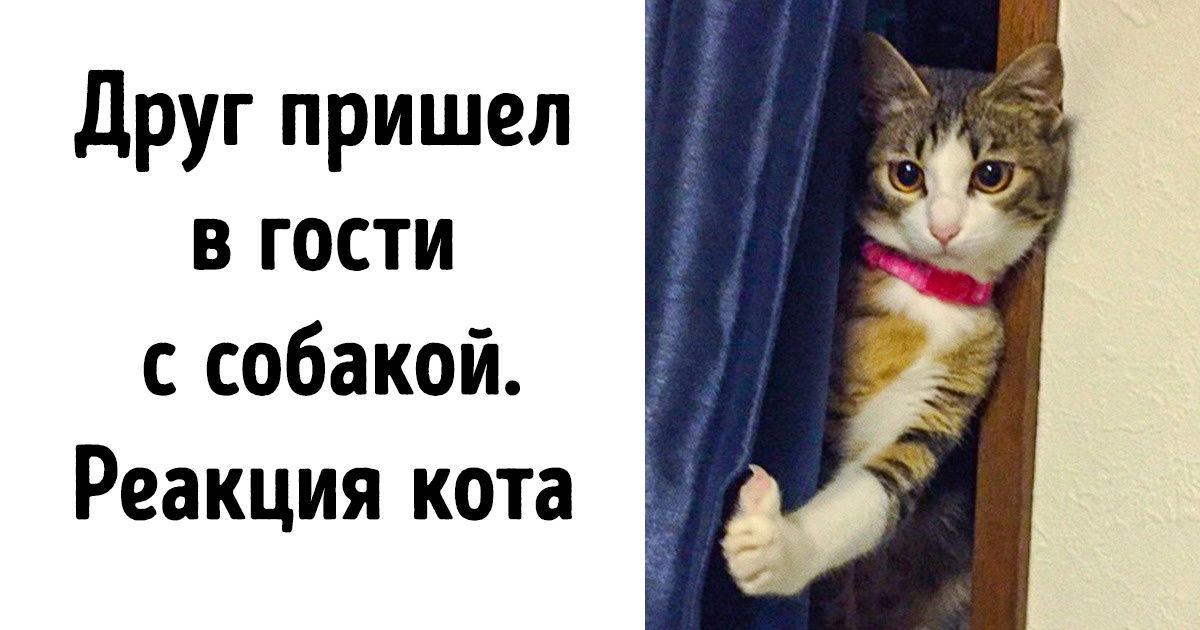 Холст «Прикольный принт с черным