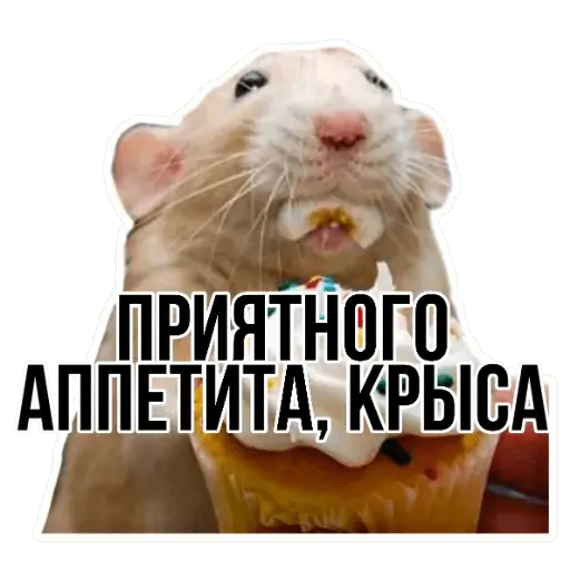 смайлики, крыса иллюстрация, png | PNGEgg