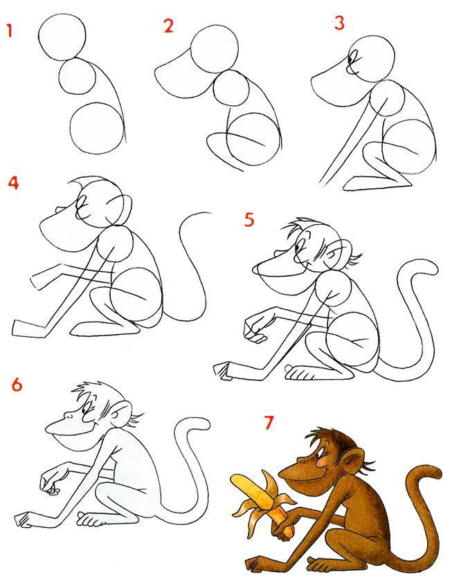 Dibujar Un Mono| How to draw a monkey