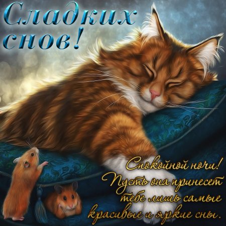 Стихи | Поэзия жизни | Иван N ♌☀ | ВСЕМ СПОКОЙНОЙ НОЧИ И