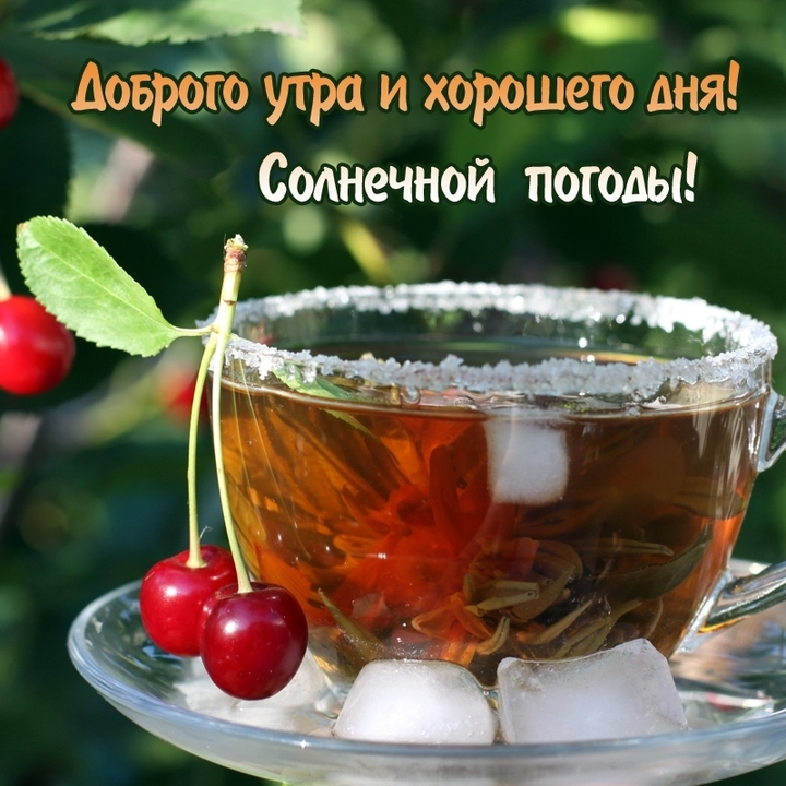 🌞 С добрым утром! 🌹 | Поздравления, пожелания, открытки