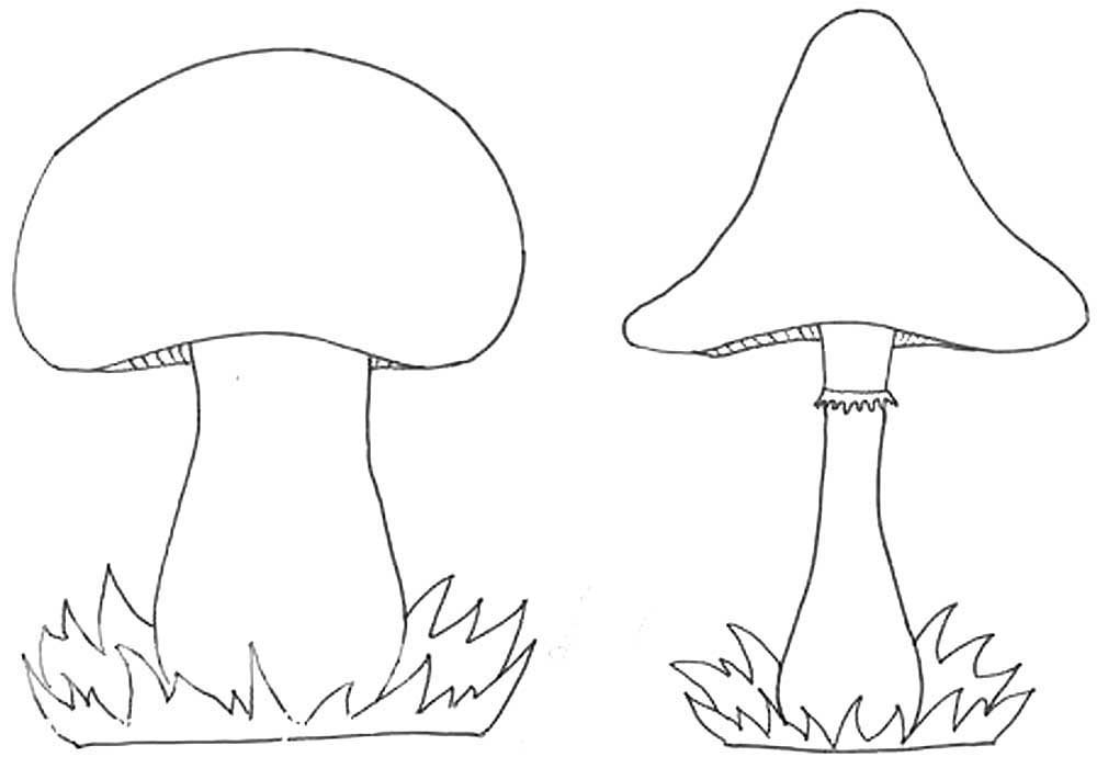 Раскраски Раскраска Раскраски гриба гриб мухомор шаблон для