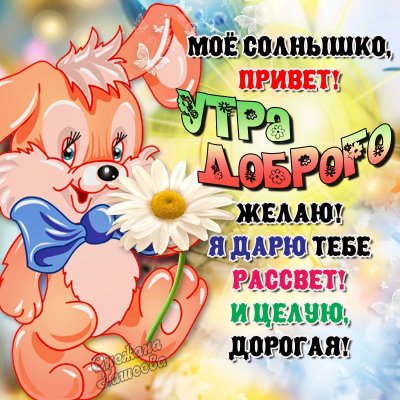 Доброе утро! Отличного дня!