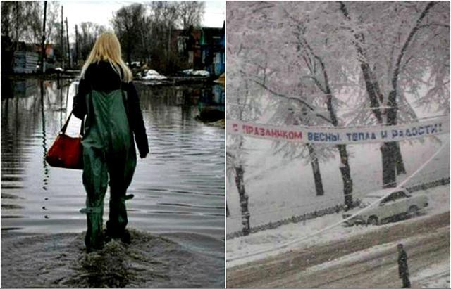 Картинки про весну прикольные|Картинки про весну смешные