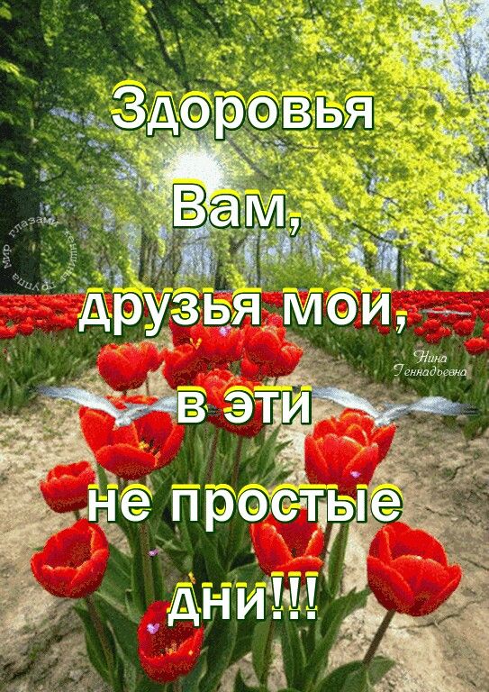 🙏💗🙏Пусть Вас хранит Бог!🙏💗🙏Доброго утра