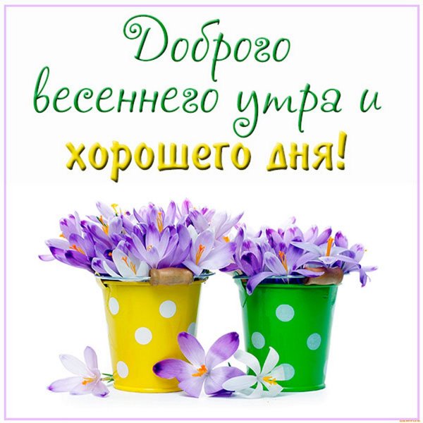 🌞🌼☕Самого доброго весеннего утра