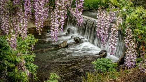 Лучшие фото по запросу «Весна» · Скачивайте