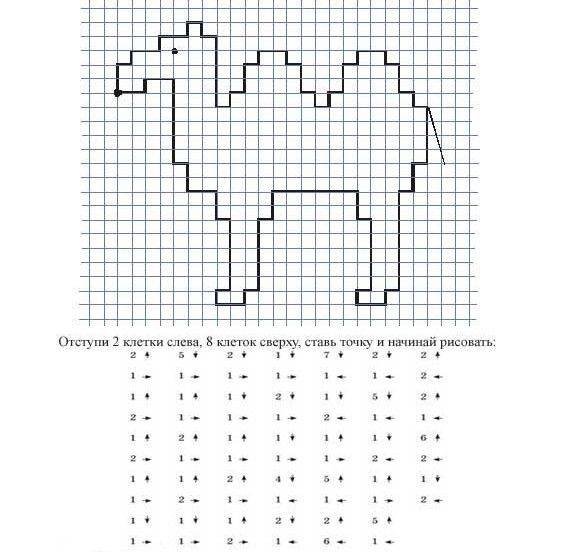Рисунки по клеточкам в тетради