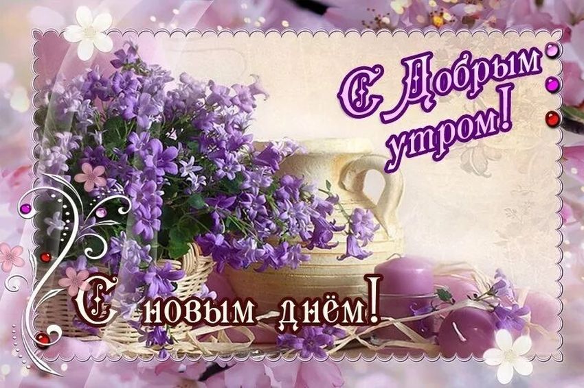 🌺🌿 ЯГОДКИ, ДОБРОЕ УТРО, ОТЛИЧНОГО ДНЯ