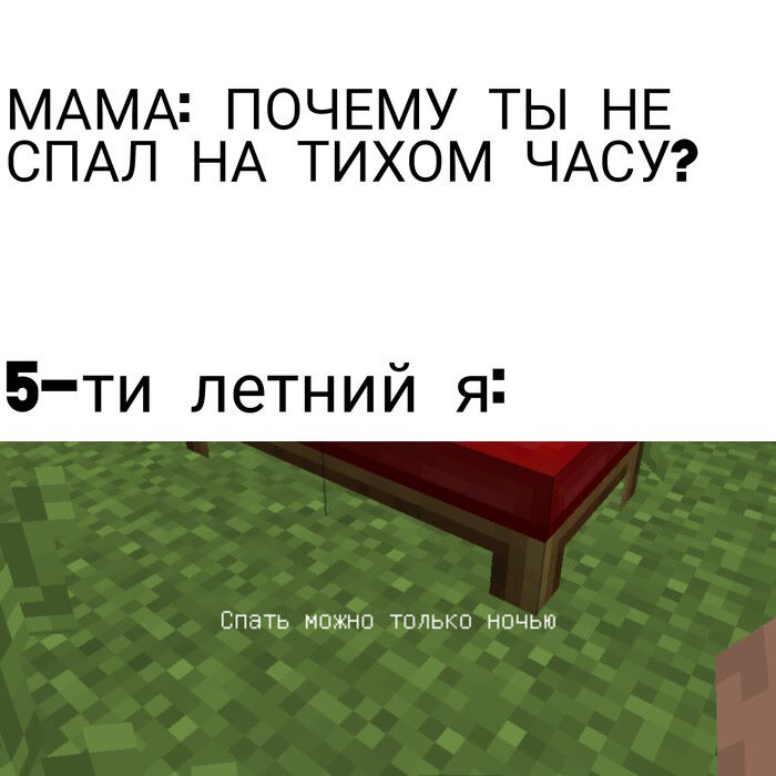 Minecraft Inside