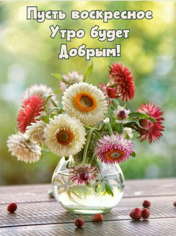 🍂Доброе утро! Сегодня 24 октября