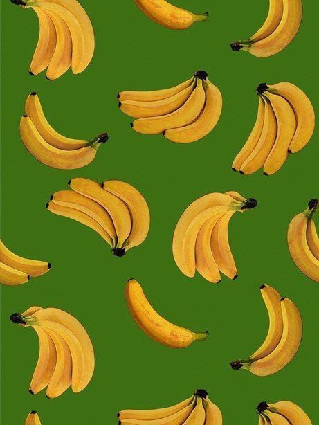 Banana Leaf Wallpaper & Wall Mural | Ever Wallpaper UK