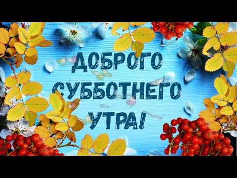 Наконец суббота и всем доброе утро, хороших выходных! | СОФИТ