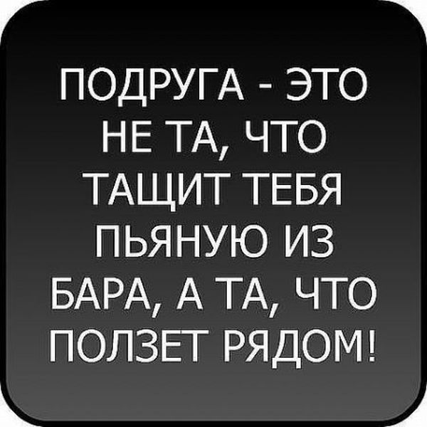 Страница 2 | Смешные Звери Изображения – скачать бесплатно на