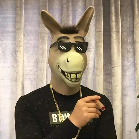 Donkey Крупный План Забавный Лицо — стоковые фотографии и