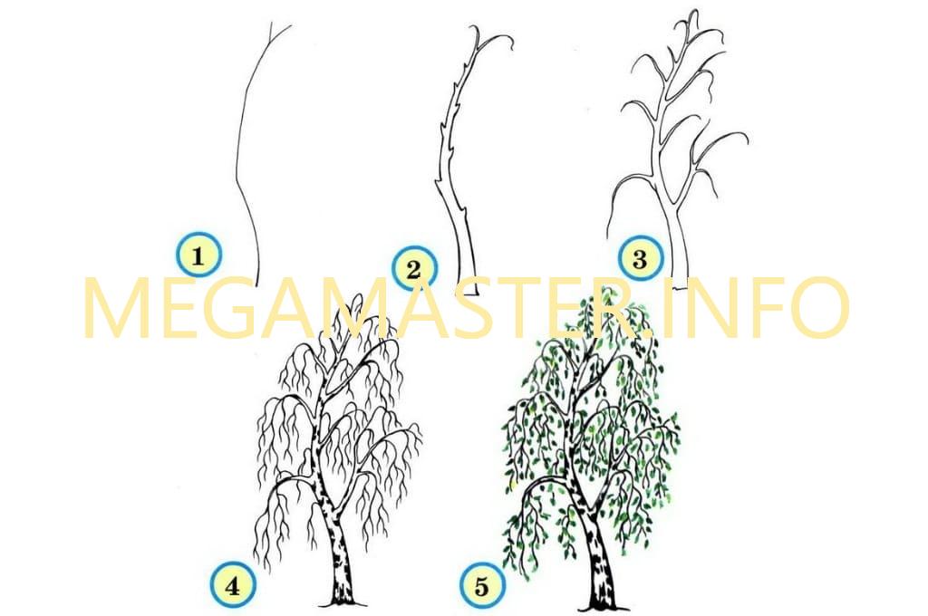Как нарисовать дерево поэтапно видео уроки рисования для