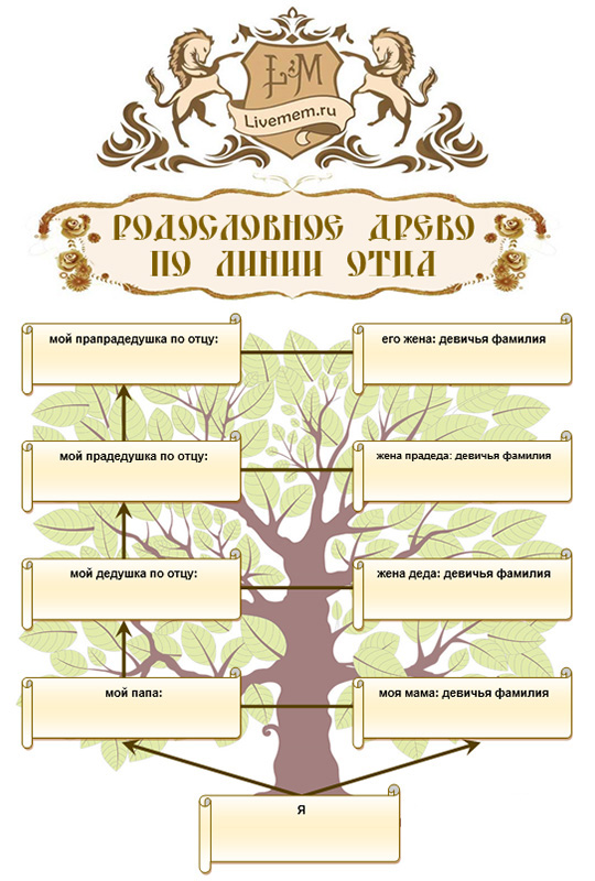 Виды генеалогического древа семьи