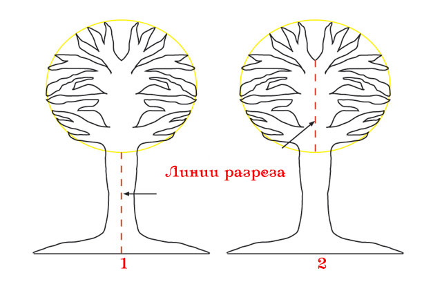 Формирование деревьев