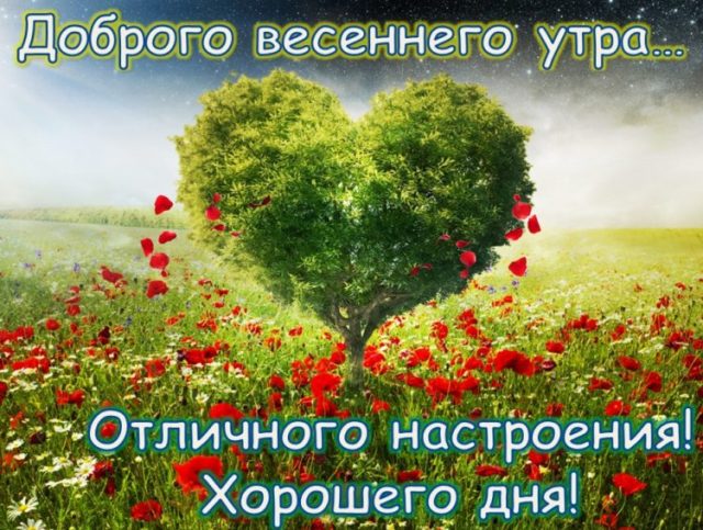 🌺🌿 ЯГОДКИ, ДОБРОЕ УТРО, ОТЛИЧНОГО ДНЯ! 🌿🌺 Весна – это