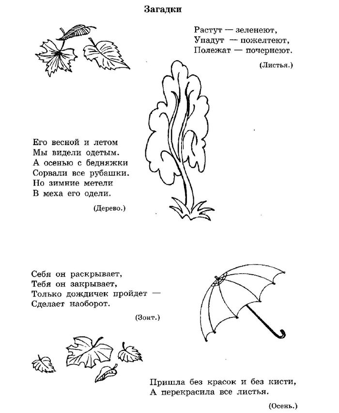 Презентация 