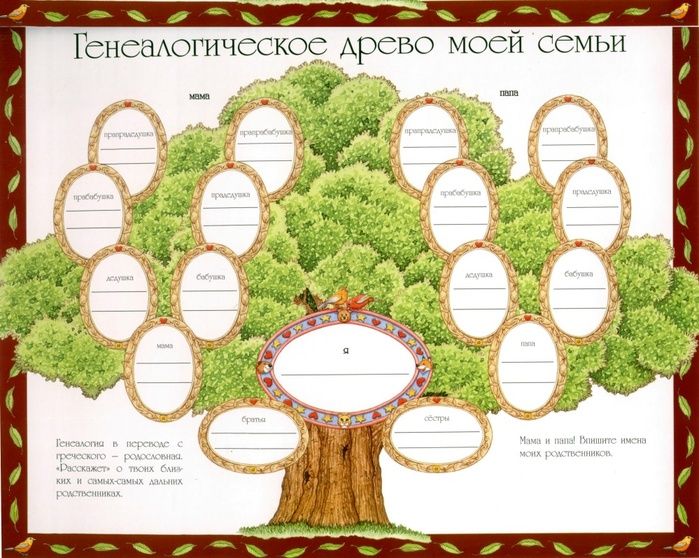 Как создать генеалогическое древо своей