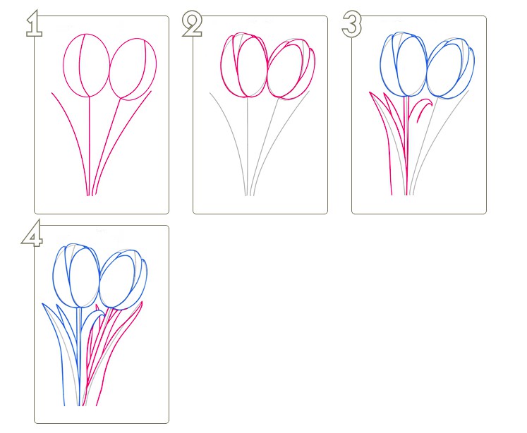 Как нарисовать тюльпан, букет тюльпанов