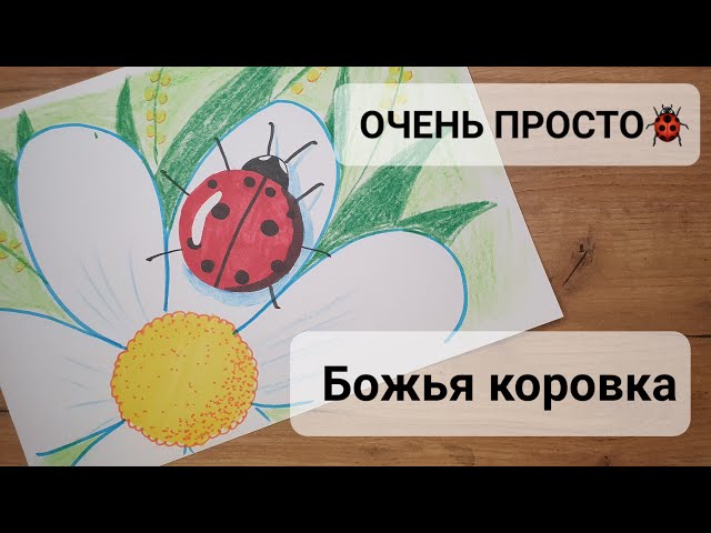 Раскраска для самых маленьких. Божья коровка. Фаенкова Елена