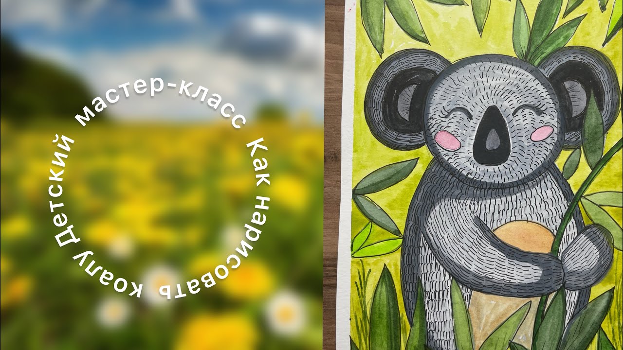 Нарисовать коалу 🐨🐨🐨