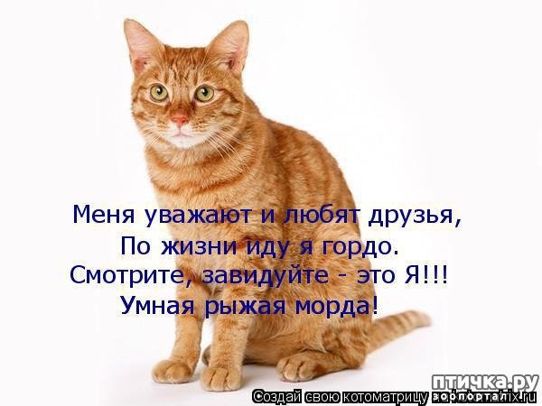 Красивые стихи девушке с добрым утром ~