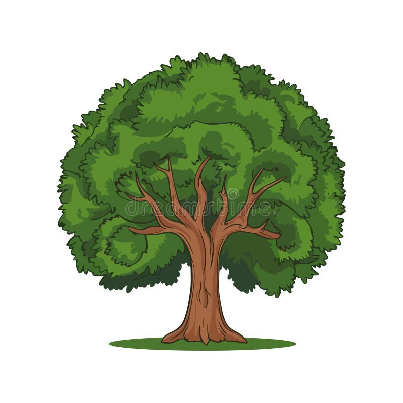 TREE png images | PNGEgg