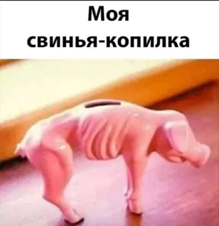 Мемы Свинья