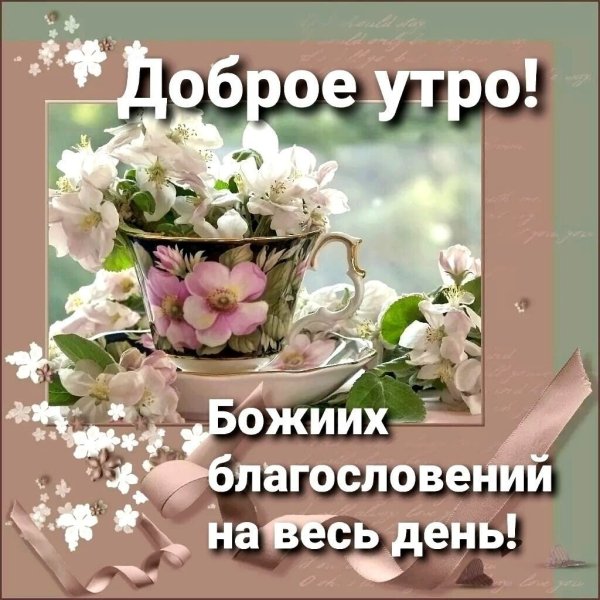 Nina | Good morning! Доброе утро всем! Bonjour! #cafe #flower