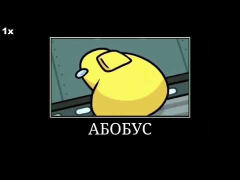 Мемы из тик тока абобус? MFamily 1#