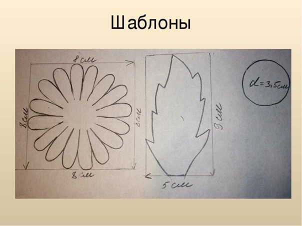 Шаблон цветы. Скачать и распечатать