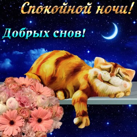 Картинка спокойной ночи Ренат 