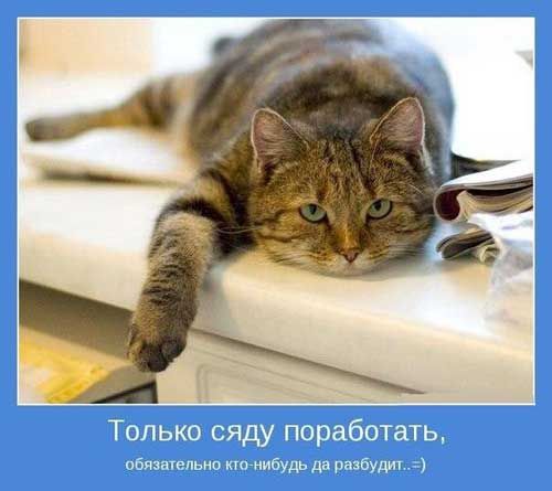 Фотоприколы » uCrazy.org