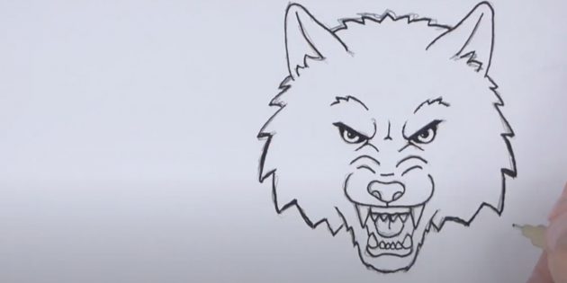 How to draw a face of a wolf with a pencil. A detailed lesson