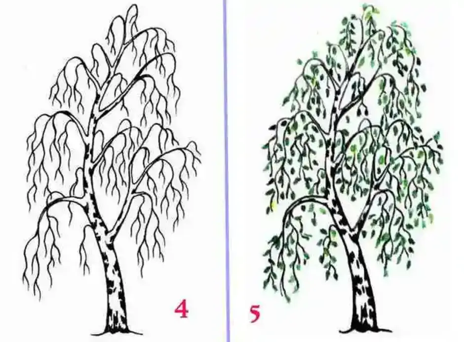 Рисунки березы карандашом для детей