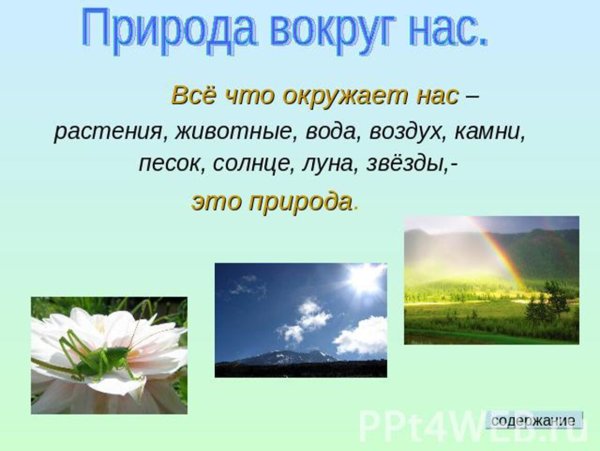 ВЛИЯНИЕ ТУРИЗМА НА ПРИРОДУ И ОКРУЖАЮЩУЮ СРЕДУ — Казахстанская