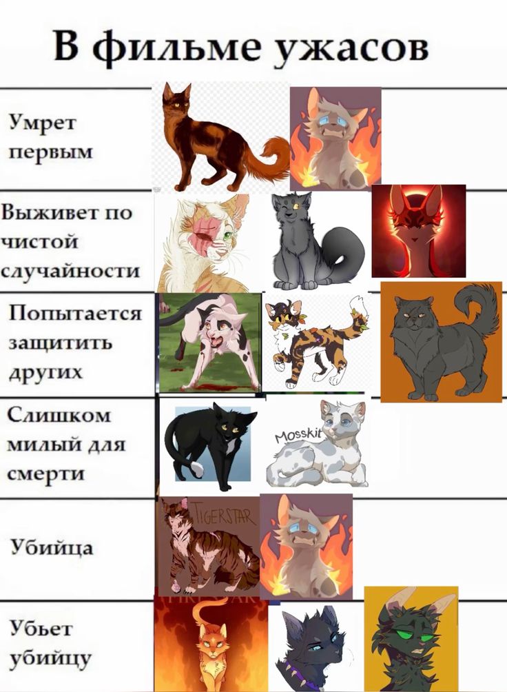 Коты воители приколы картинки