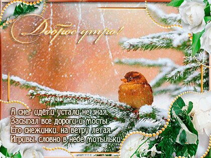 С ДОБРЫМ УТРОМ, ЖИЗНЬ!!!👍❤️☀🌦🌈🕊❄☃ / X