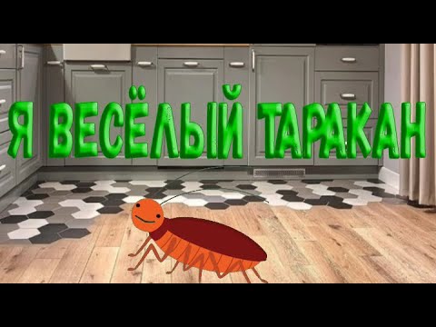 Насекомое Таракан на блистере. Приколы и розыгрыши в интернет