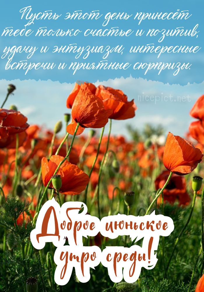 ДоброеУтро #хорошегодня #лето #Привет