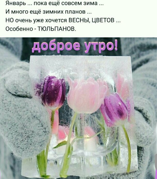 🌞🌼☕Самого доброго весеннего утра!💗Благословенного дня