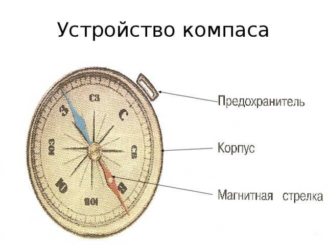 Стороны горизонта картинка