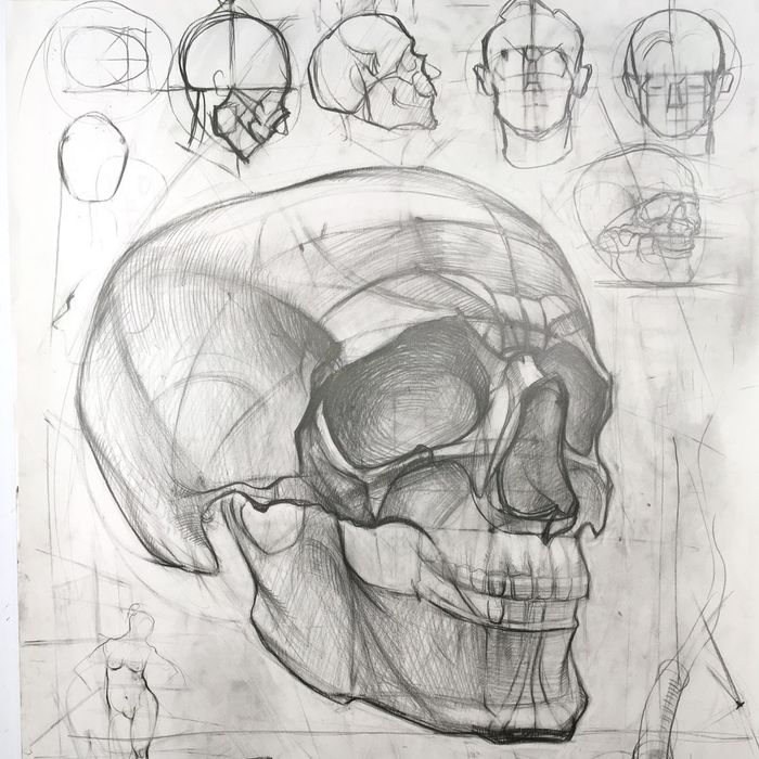 Skull drawing | Рисунок черепа