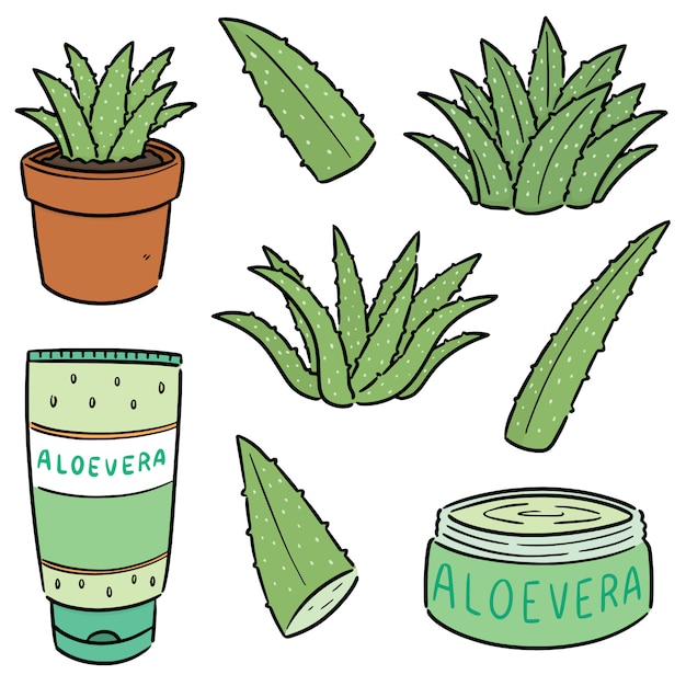 16 398 рез. по запросу «Aloe vera vector» — изображения