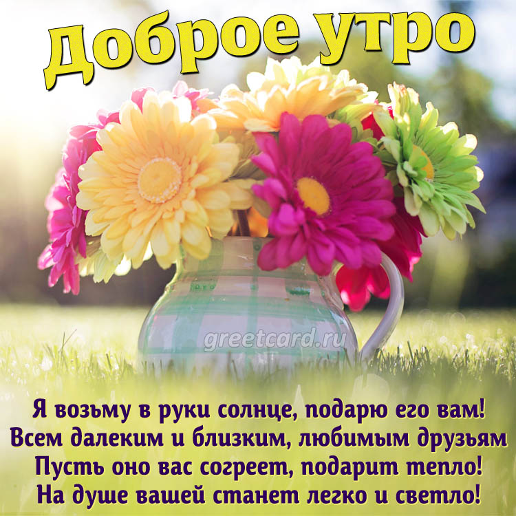 Цветы Природа Доброе Утро