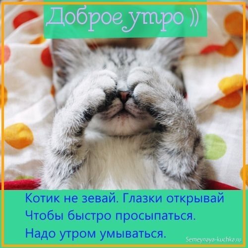 Доброе придоброе утро!