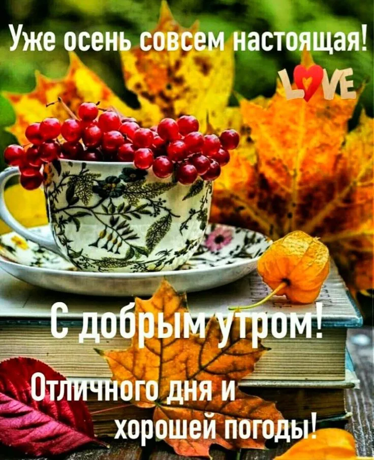 💗☕️Доброе Утро! Хорошего Дня!🌹Заряд